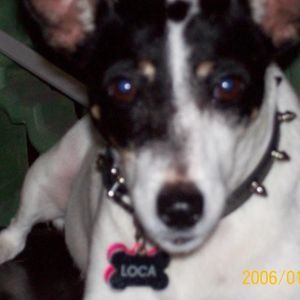 Meet your Posher, Julia